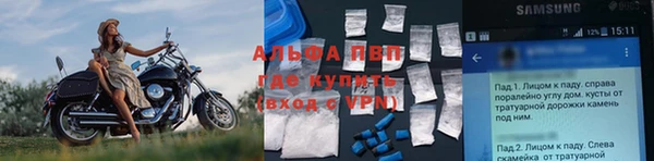 apvp Алзамай