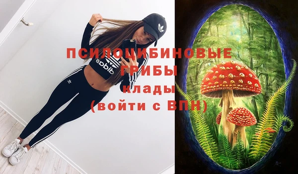 хмурый Сосновоборск