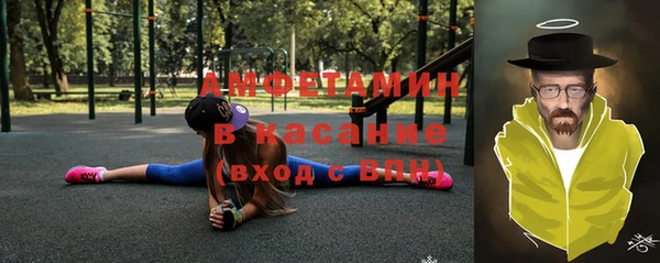 мет Алексин