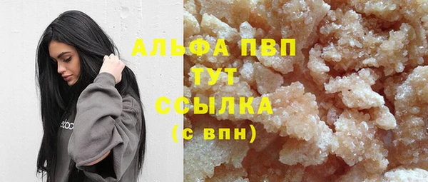 apvp Алзамай
