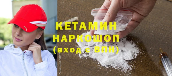 мет Алексин